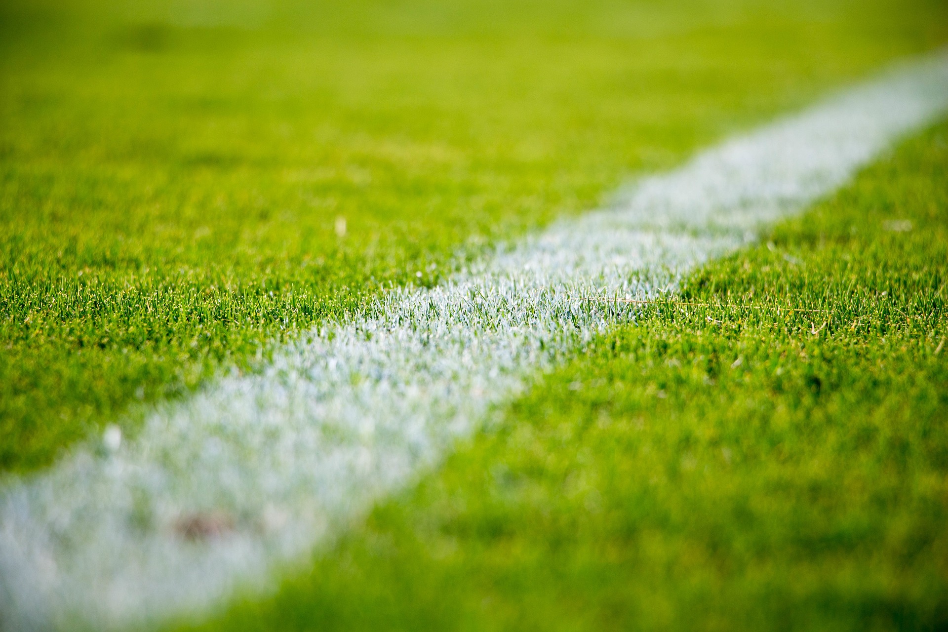 Symbolfoto Sportplatz Linie